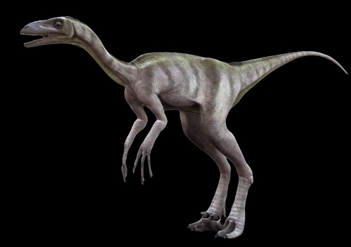 troodon lw Troodon Formosus
