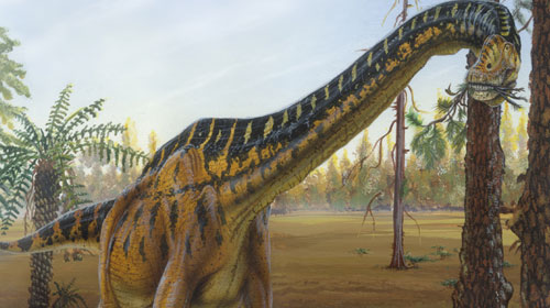 brachiosaurus1 Brachiosaurus