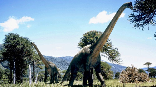brachiosaurus2 Brachiosaurus