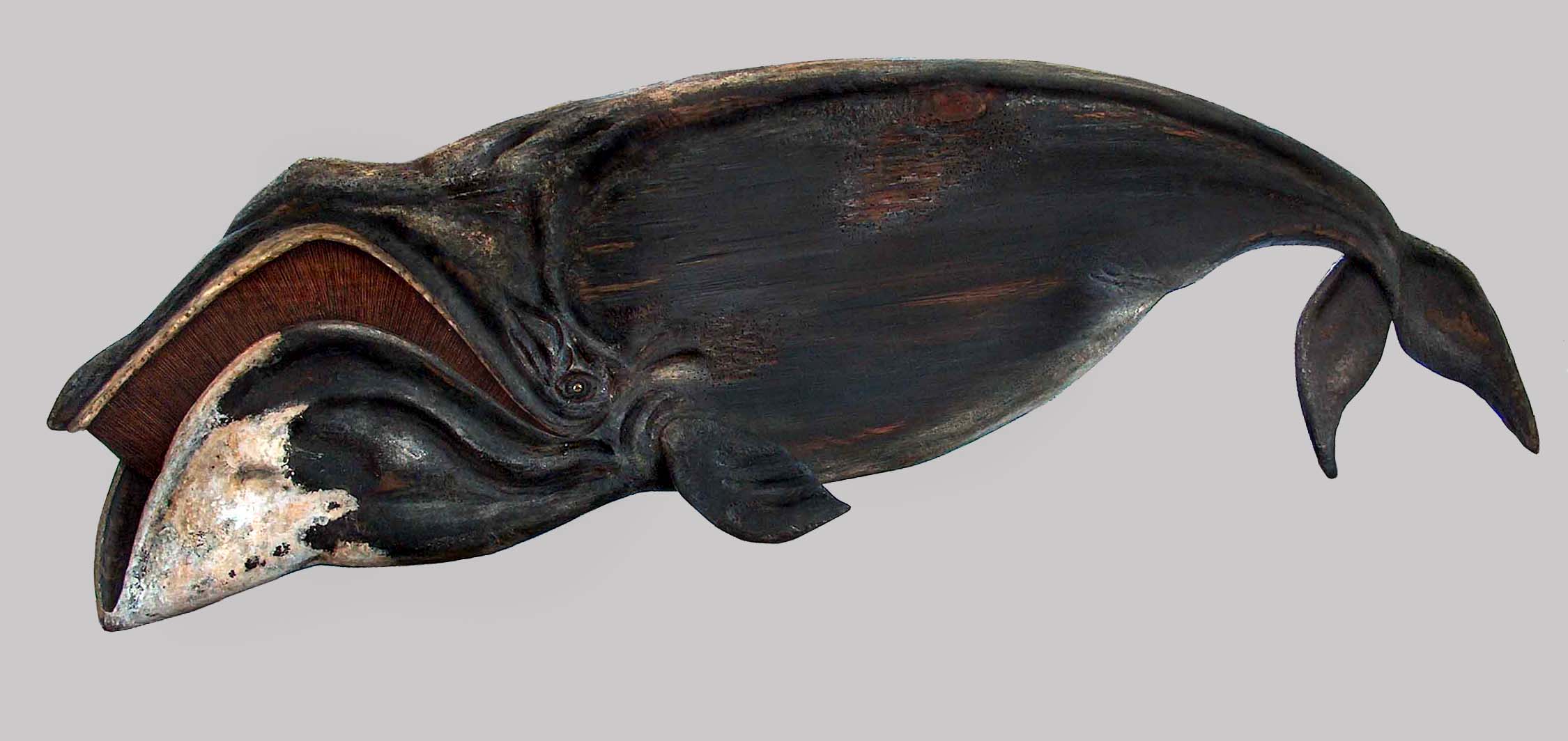 Large Bowhead Whale Bowhead Whale