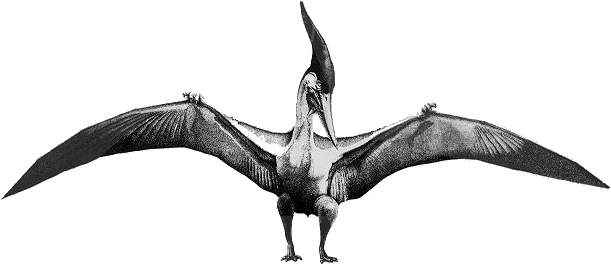 pingens Pteranodon