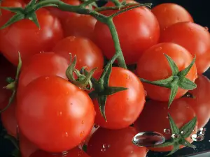 1265488 cherry tomato Tomato