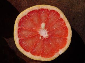 781481 grapefruit   pomelo 1 Grapefruit