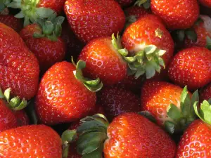 1262326 red strawberries Garden Strawberry