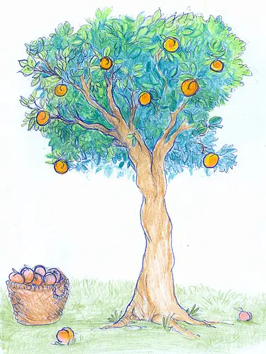 peach tree drawing Peach