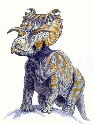 kosmoceratops Kosmoceratops
