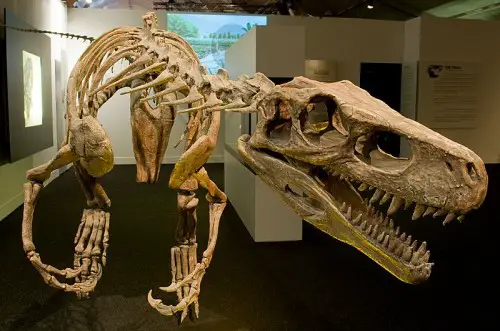 Herrerasaurus ischigualastensis e1290833731600 Herrerasaurus