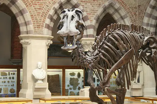 edmontosaurus skeleton Edmontosaurus