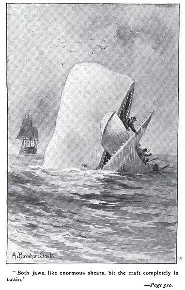382px Moby Dick p510 illustration Moby Dicks ship found