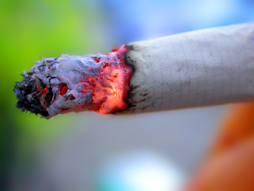cigarettes 10 Ways to Conserve the Environment