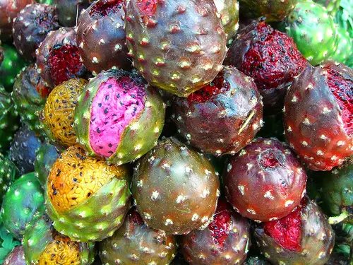 dragonfruit 10 of the Most Exotic Tropical Fruits on Earth